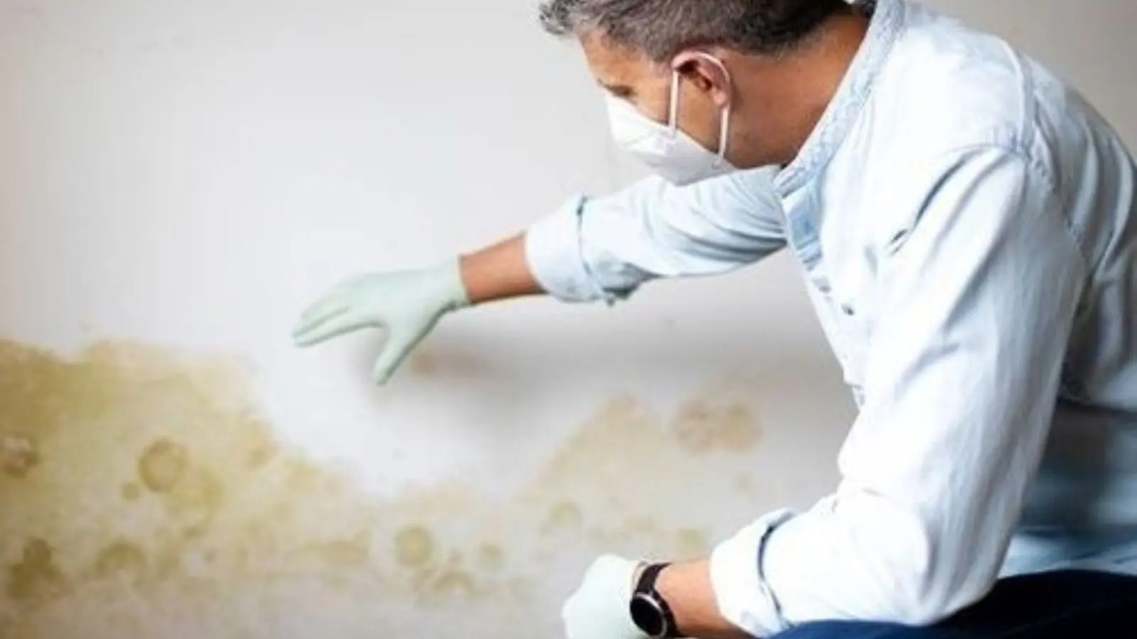 Man in a mask and gloves examining a water-stained wall to document the damage