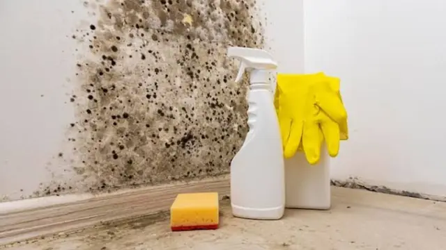 Spray bottle, yellow gloves and sponge beside a mold-spotted wall